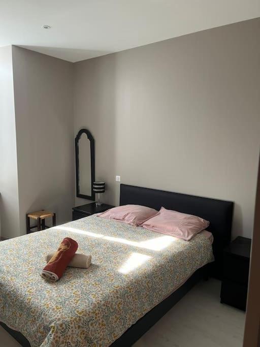 מילאו Superbe Appartement Plein Centre מראה חיצוני תמונה